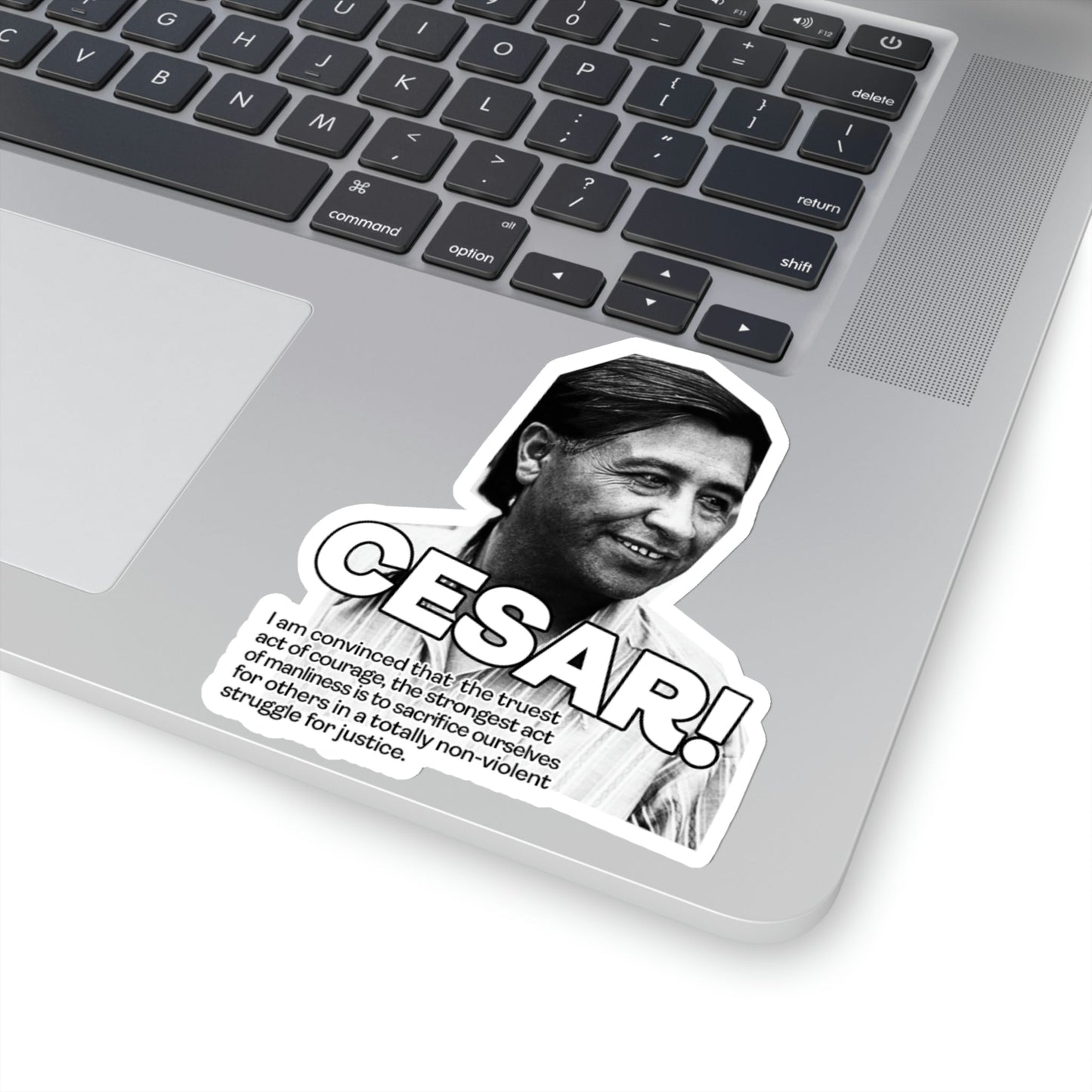 Cesar Chavez Kiss-Cut Sticker Union Hero Patriot Martin Luther King Gloria Steinem