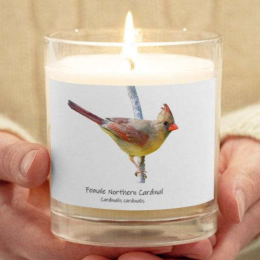 Female Northern Cardinal Glass Jar Soy Wax Candle