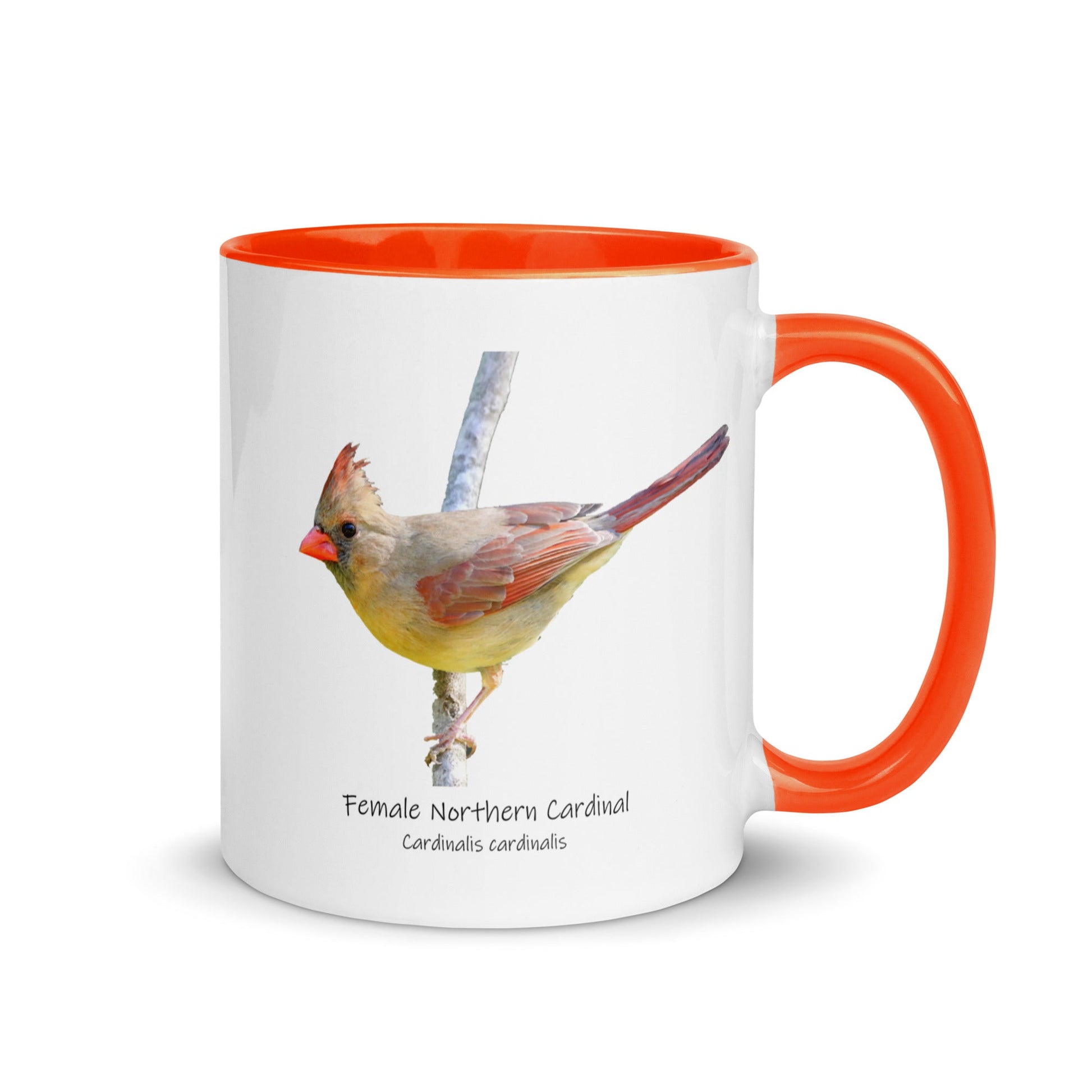 Female Northern Cardinal Mug with Color Inside