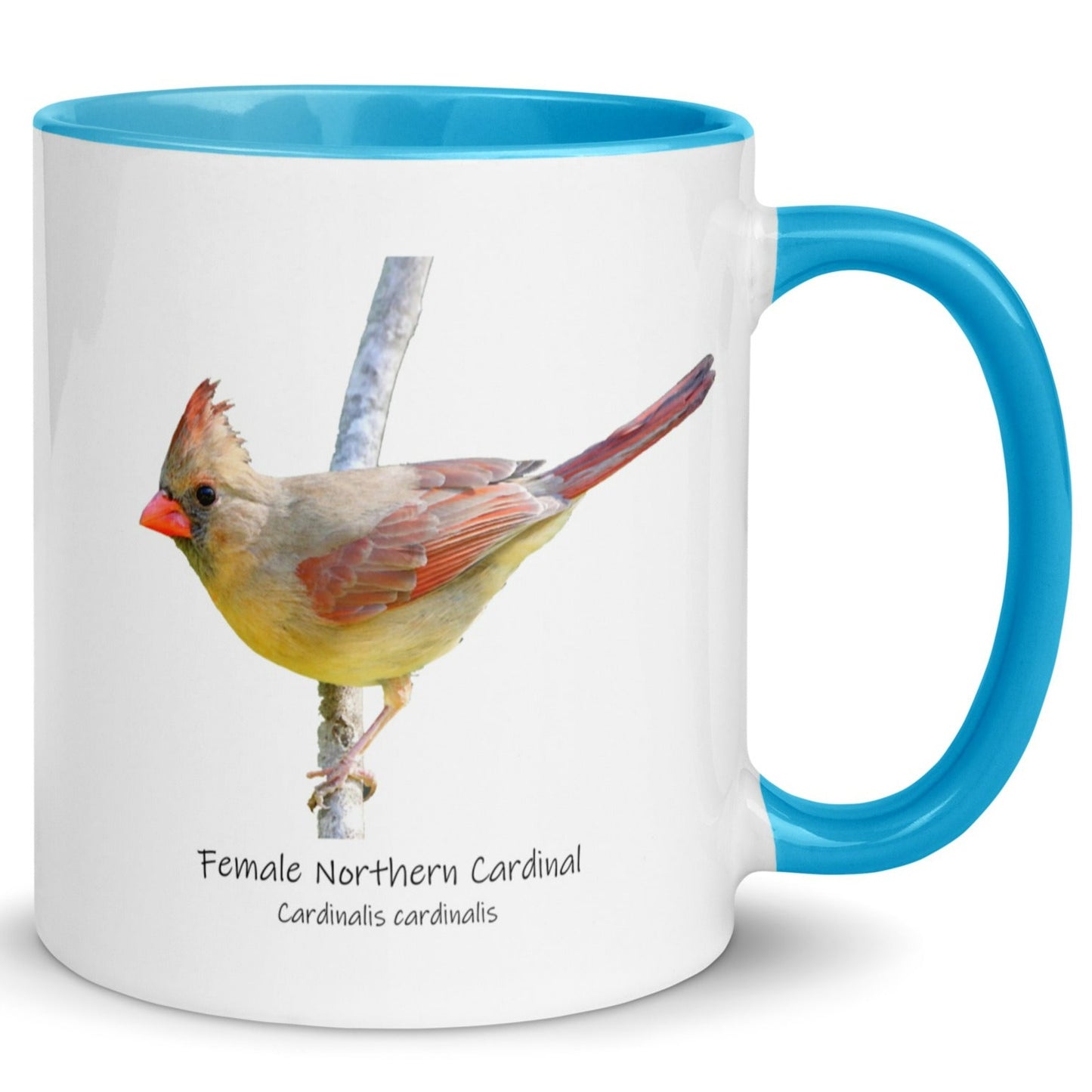 Female Northern Cardinal Mug with Color Inside