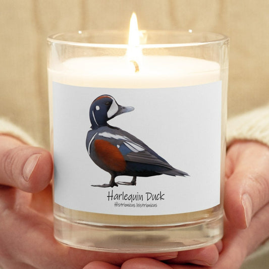 Harlequin Duck Glass Jar Soy Wax Candle