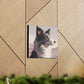 Noble Border Collie with Mountain Background Frame Canvas Gallery Wraps