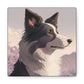 Noble Border Collie with Mountain Background Frame Canvas Gallery Wraps