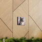 Noble Border Collie with Mountain Background Frame Canvas Gallery Wraps