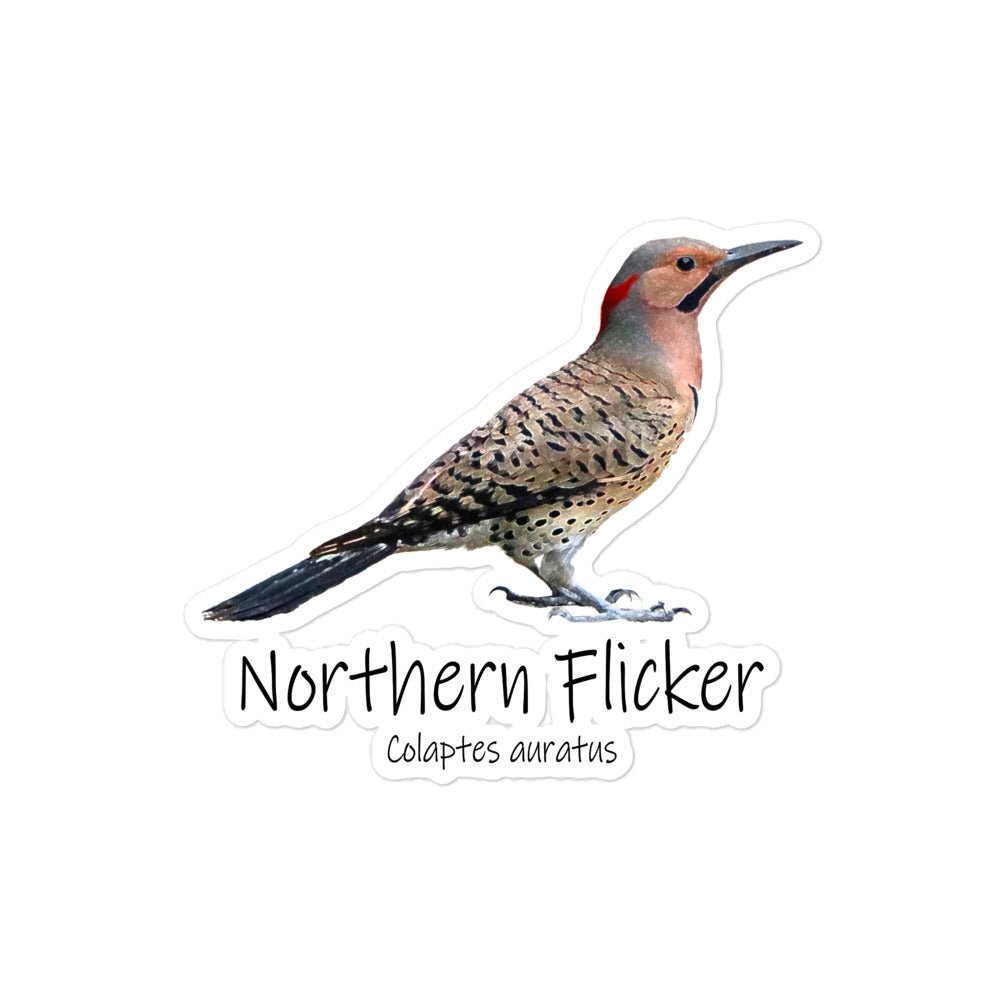 Northern Flicker Bubble-Free Stickers