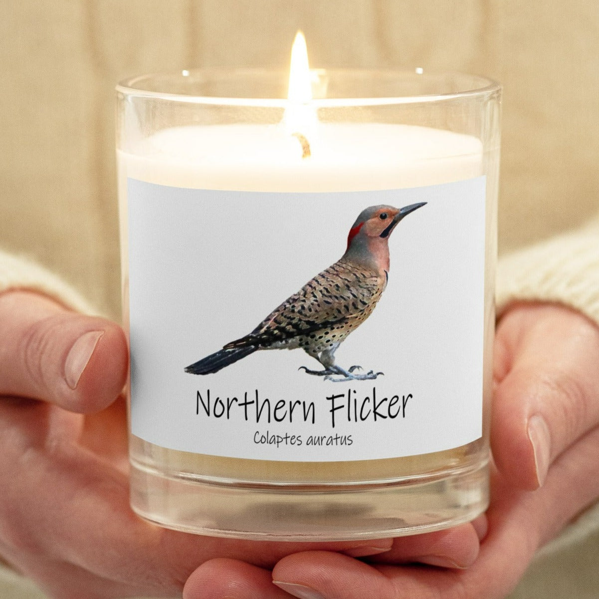 Northern Flicker Glass Jar Soy Wax Candle