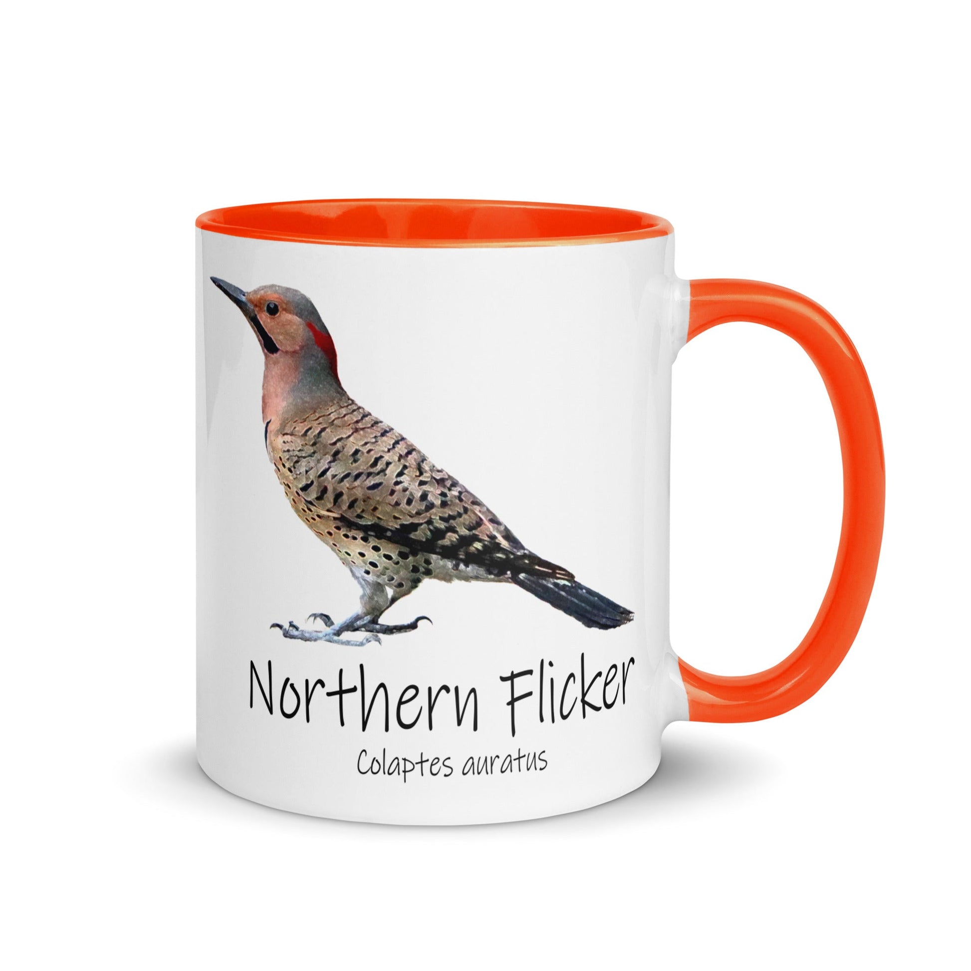 Northern Flicker Mug with Color Inside