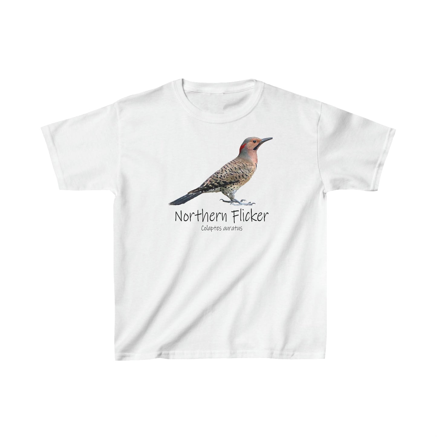 Northern Flicker T-Shirt