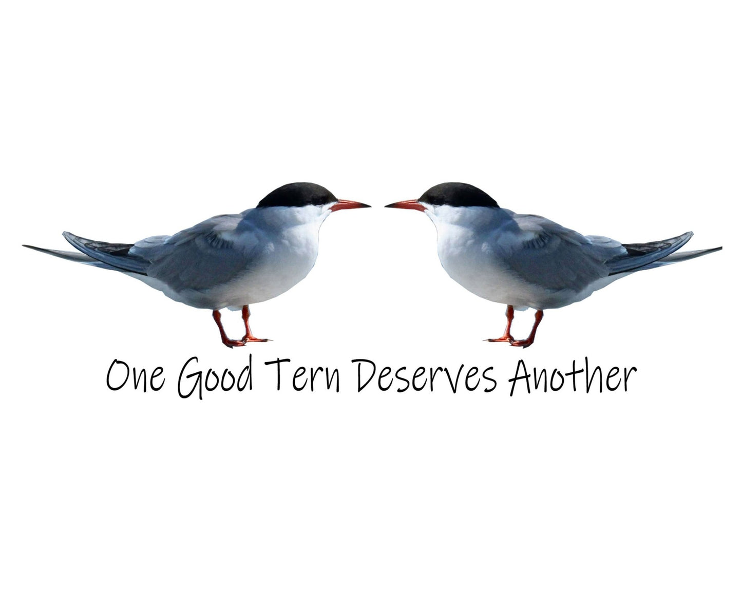 One Good Tern Deserves Another Unisex T-Shirt