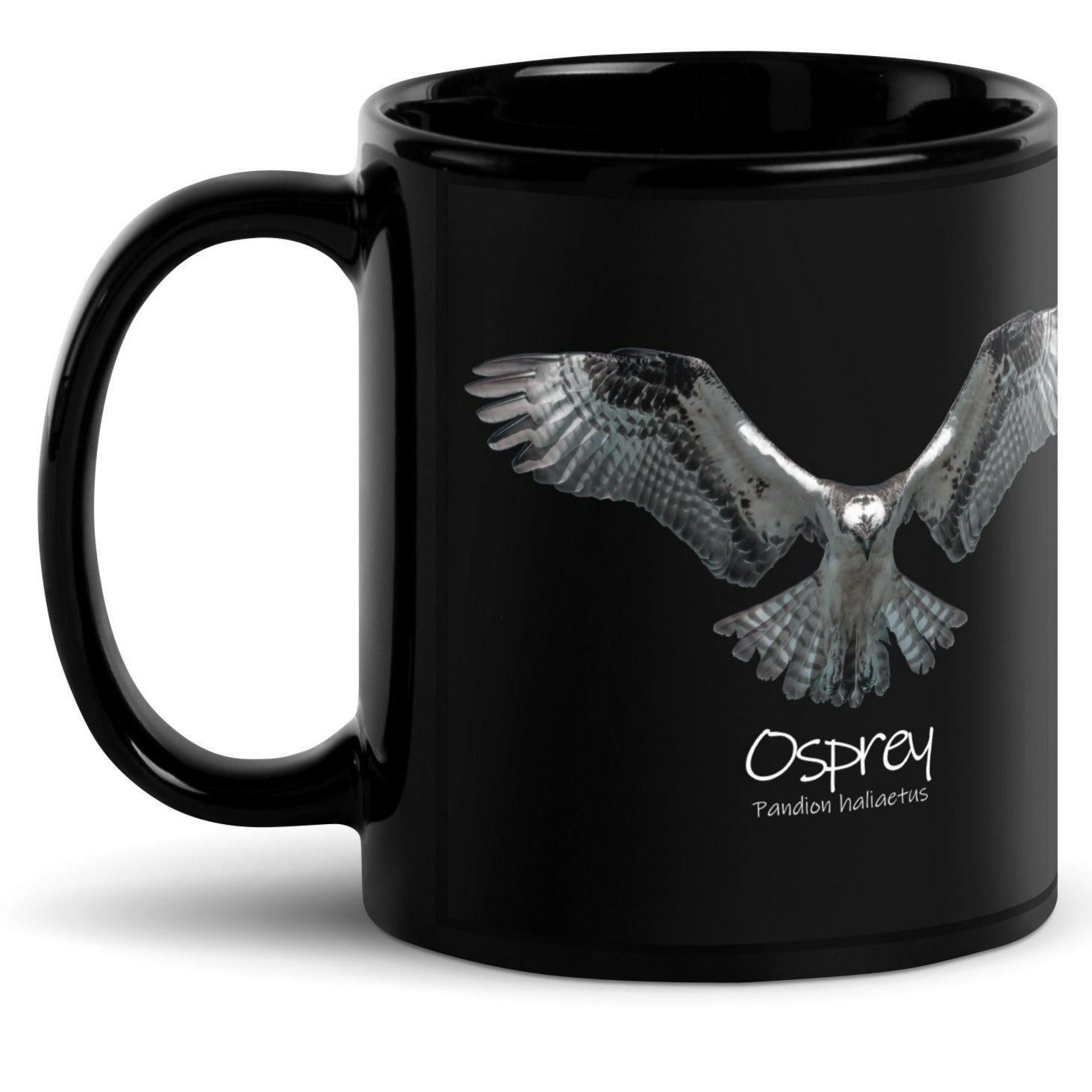 Osprey Hover Black Glossy Mug