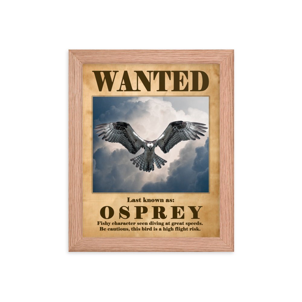 Osprey Hover Framed poster