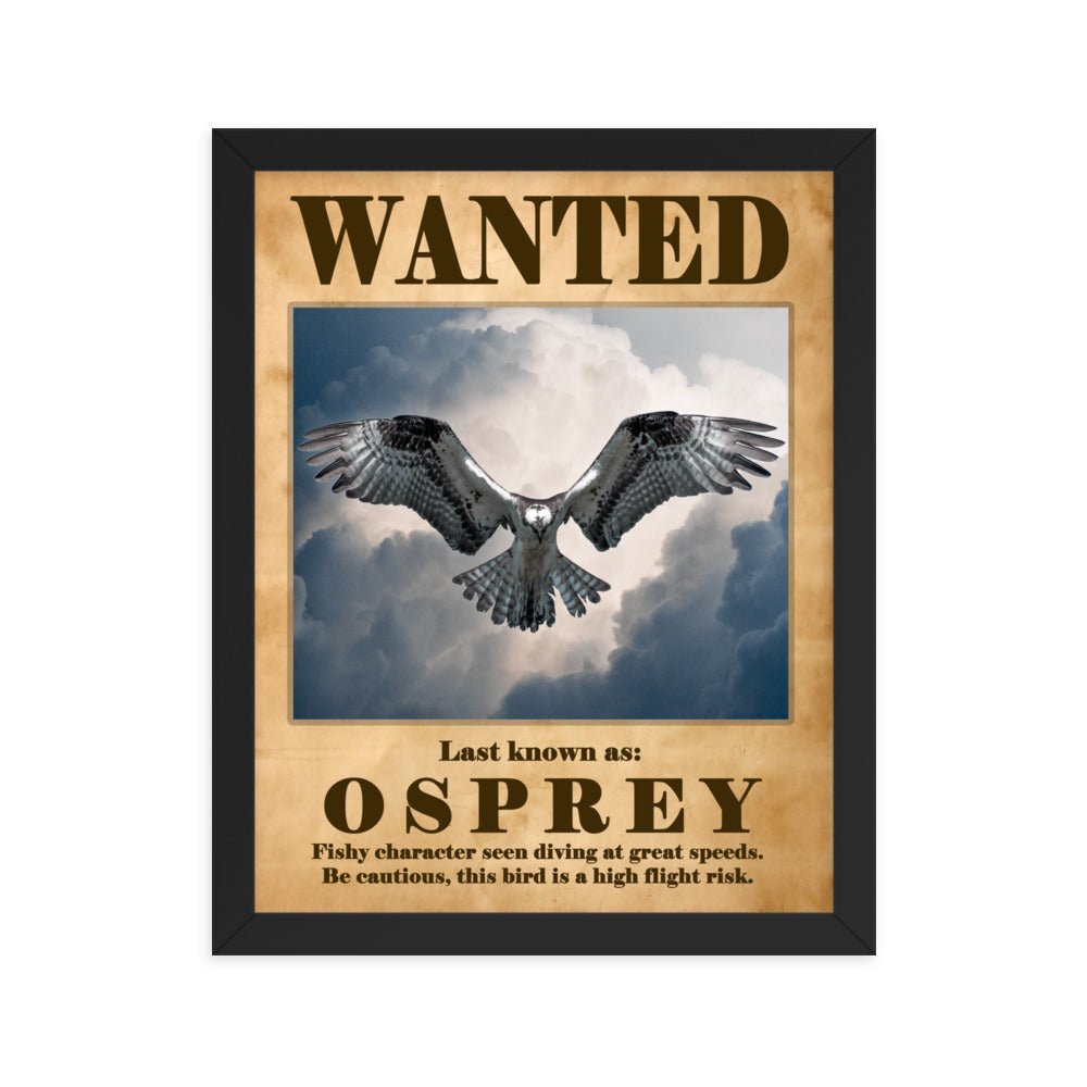 Osprey Hover Framed poster