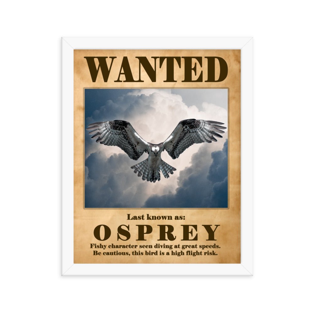 Osprey Hover Framed poster