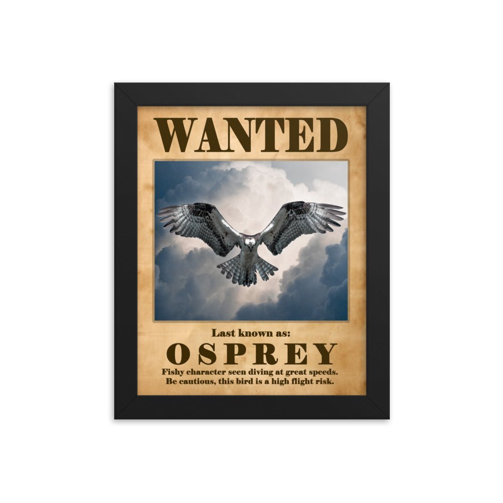 Osprey Hover Framed poster