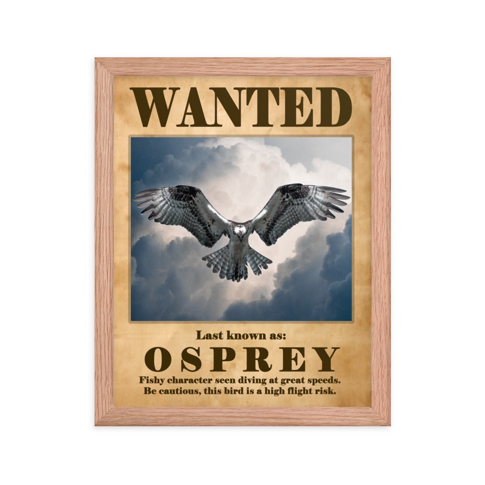 Osprey Hover Framed poster