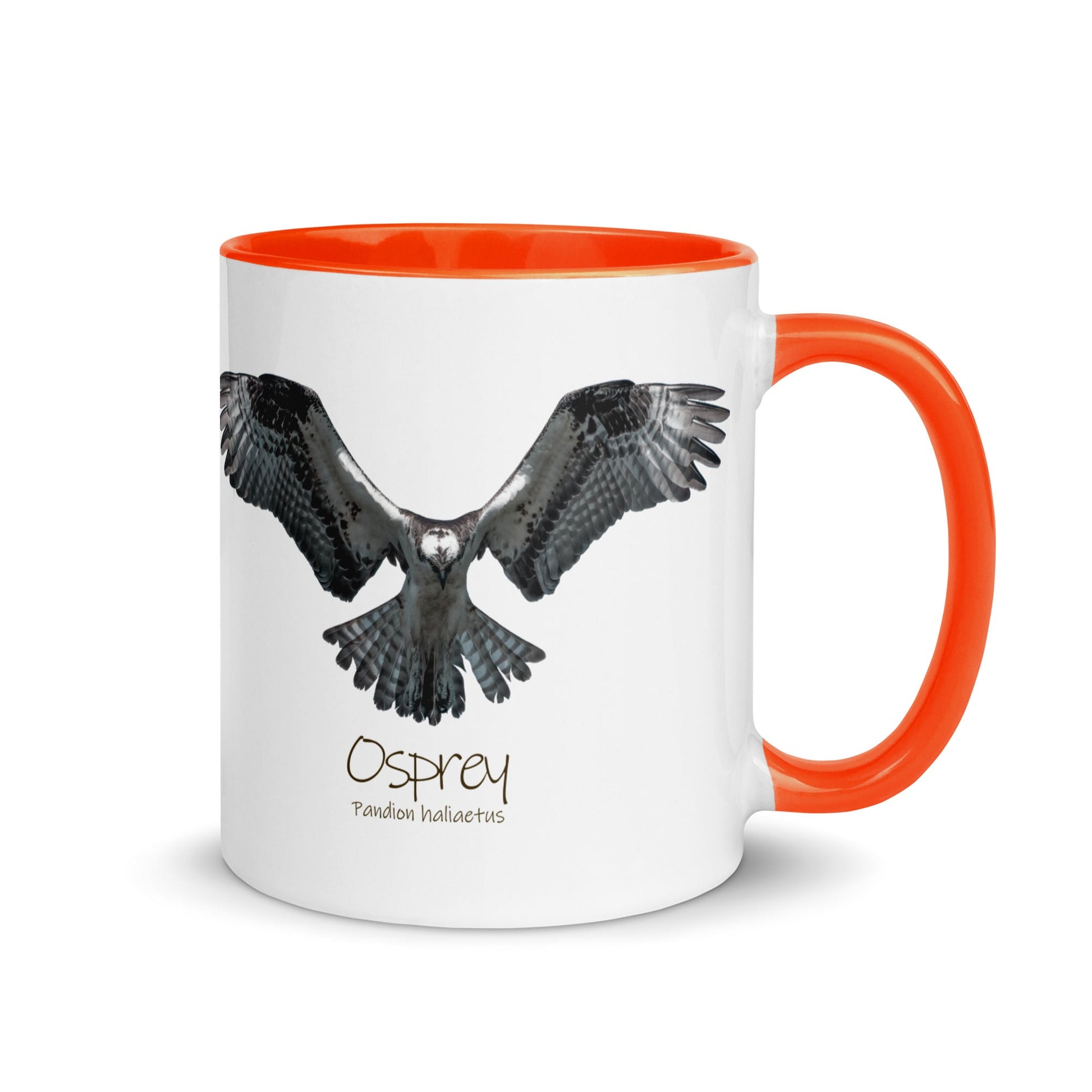 Osprey Hover Mug with Color Inside