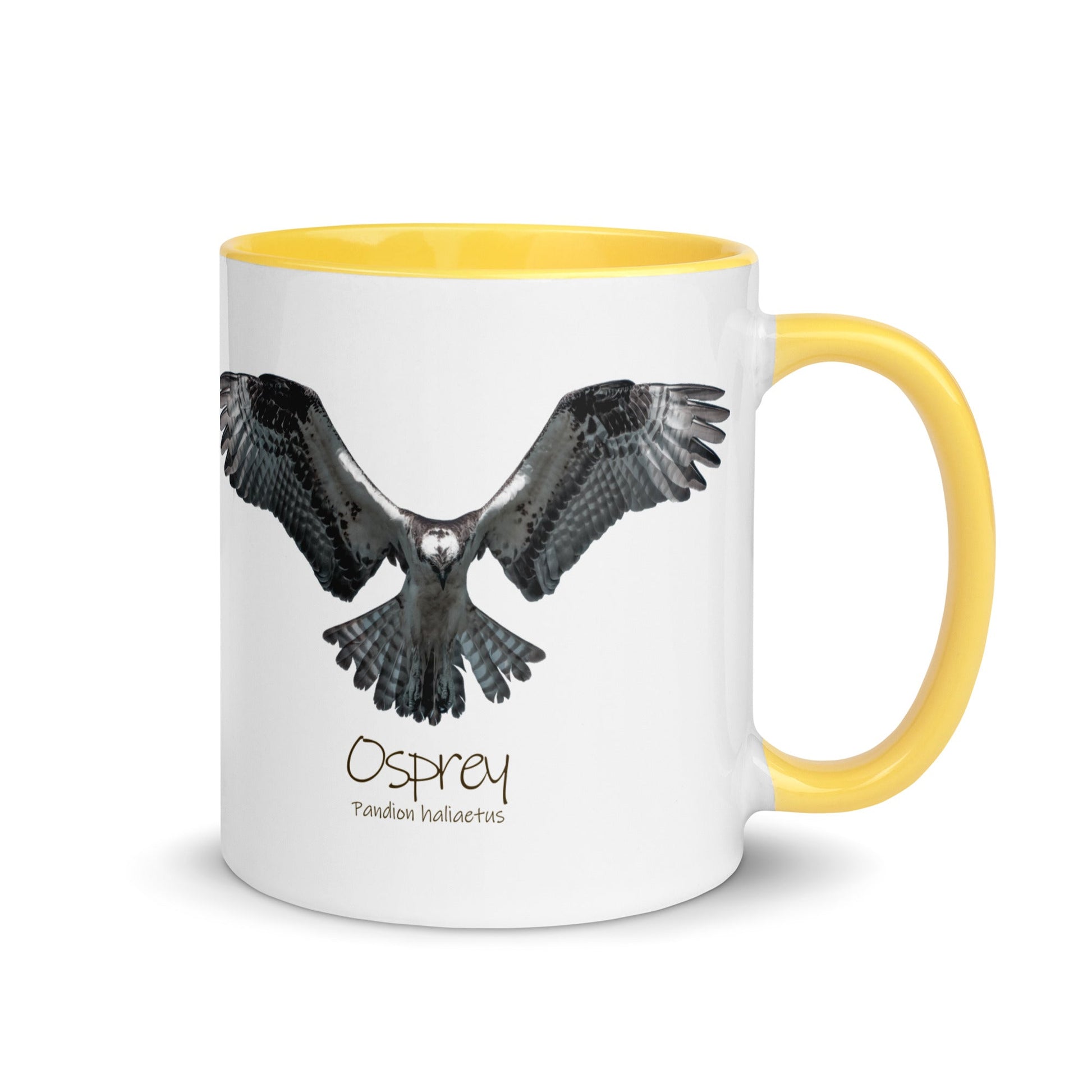 Osprey Hover Mug with Color Inside