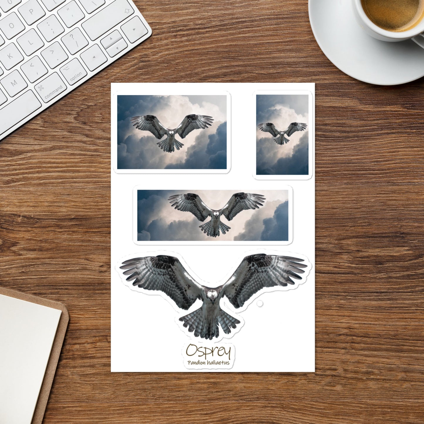 Osprey Hover Sticker Sheet