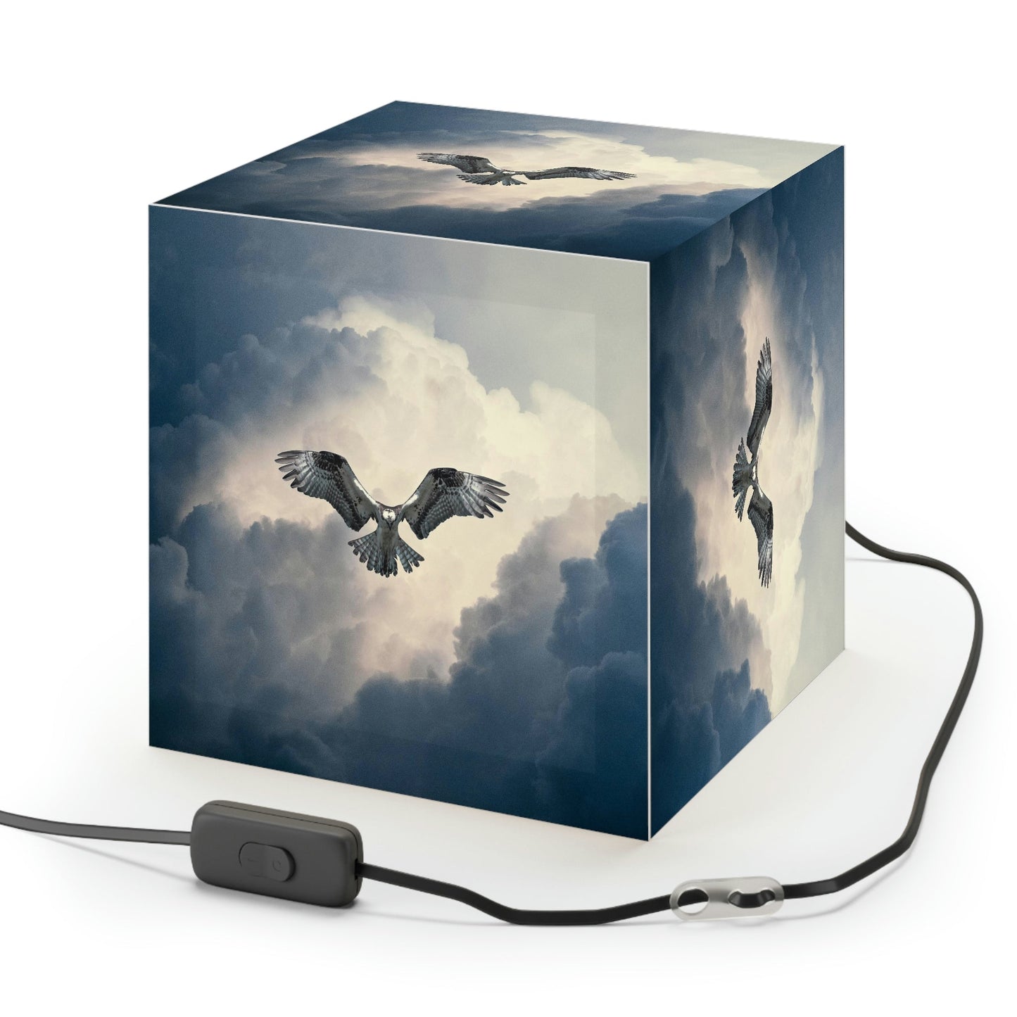 Osprey Light Cube Lamp - Perfect for the birdwatcher in your family