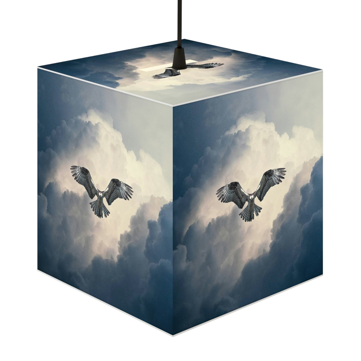 Osprey Light Cube Lamp - Perfect for the birdwatcher in your family