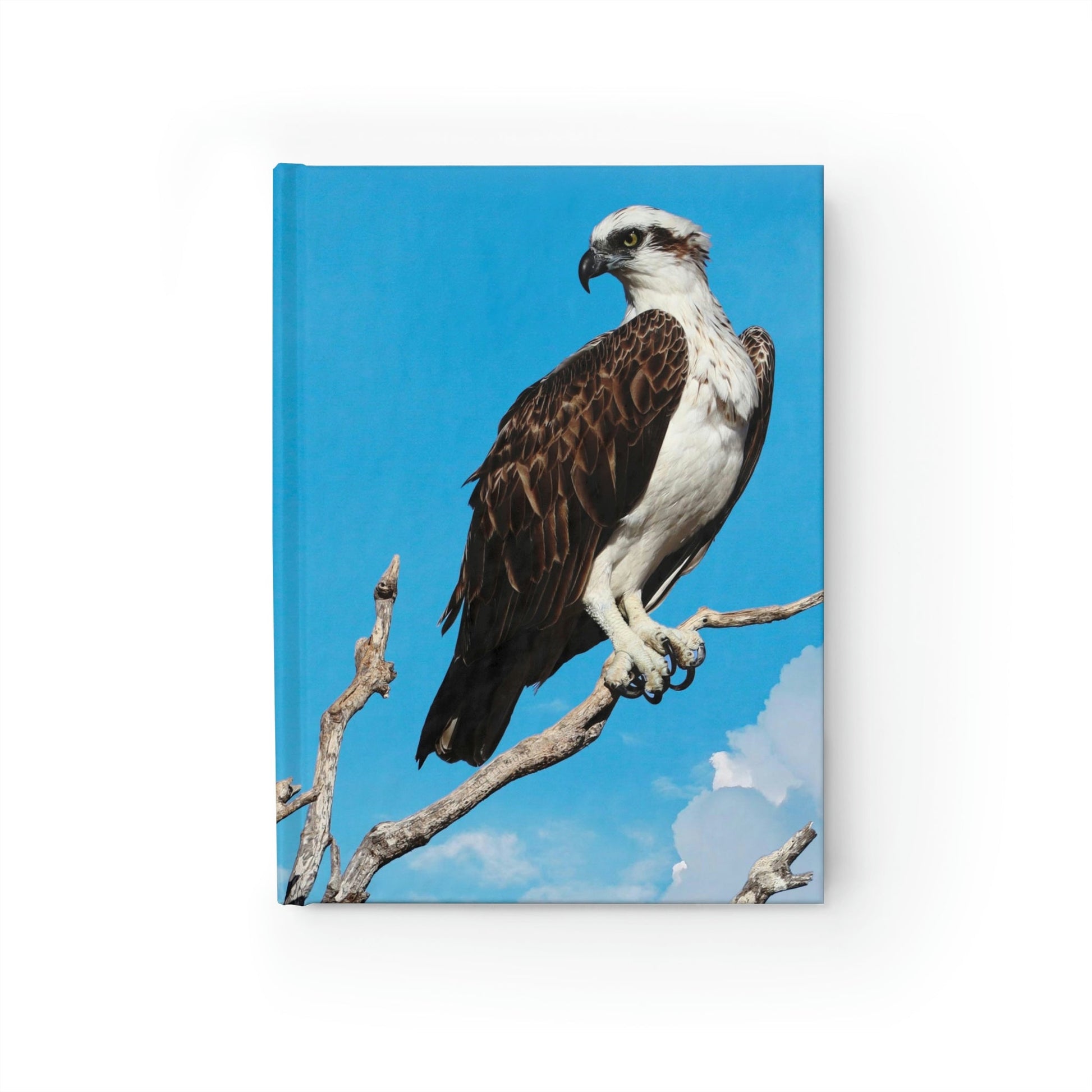 Osprey Perched Journal - Blank