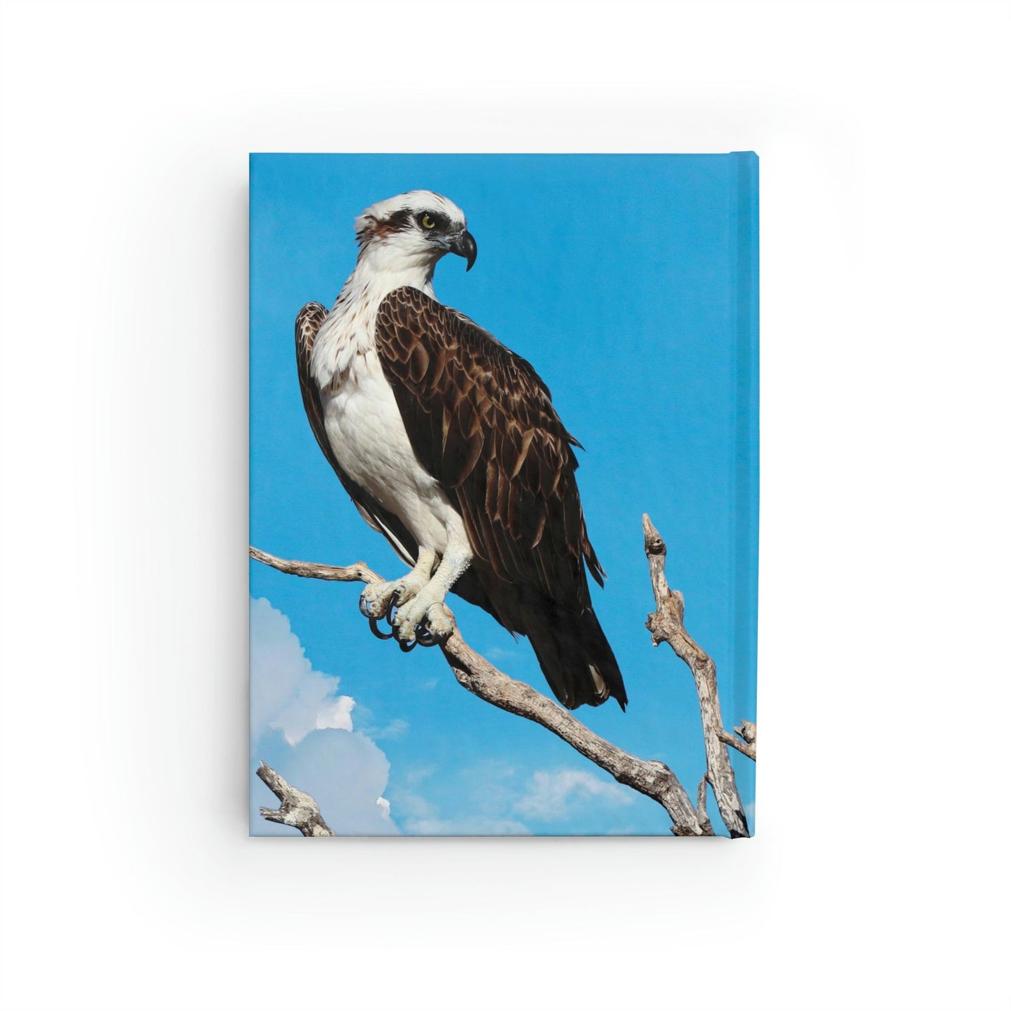 Osprey Perched Journal - Blank