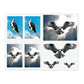 Osprey Sticker Sheet
