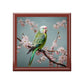 Parakeet "Budgie" in a Flowering Cherry Tree Gift, Trinket and Jewelry Box