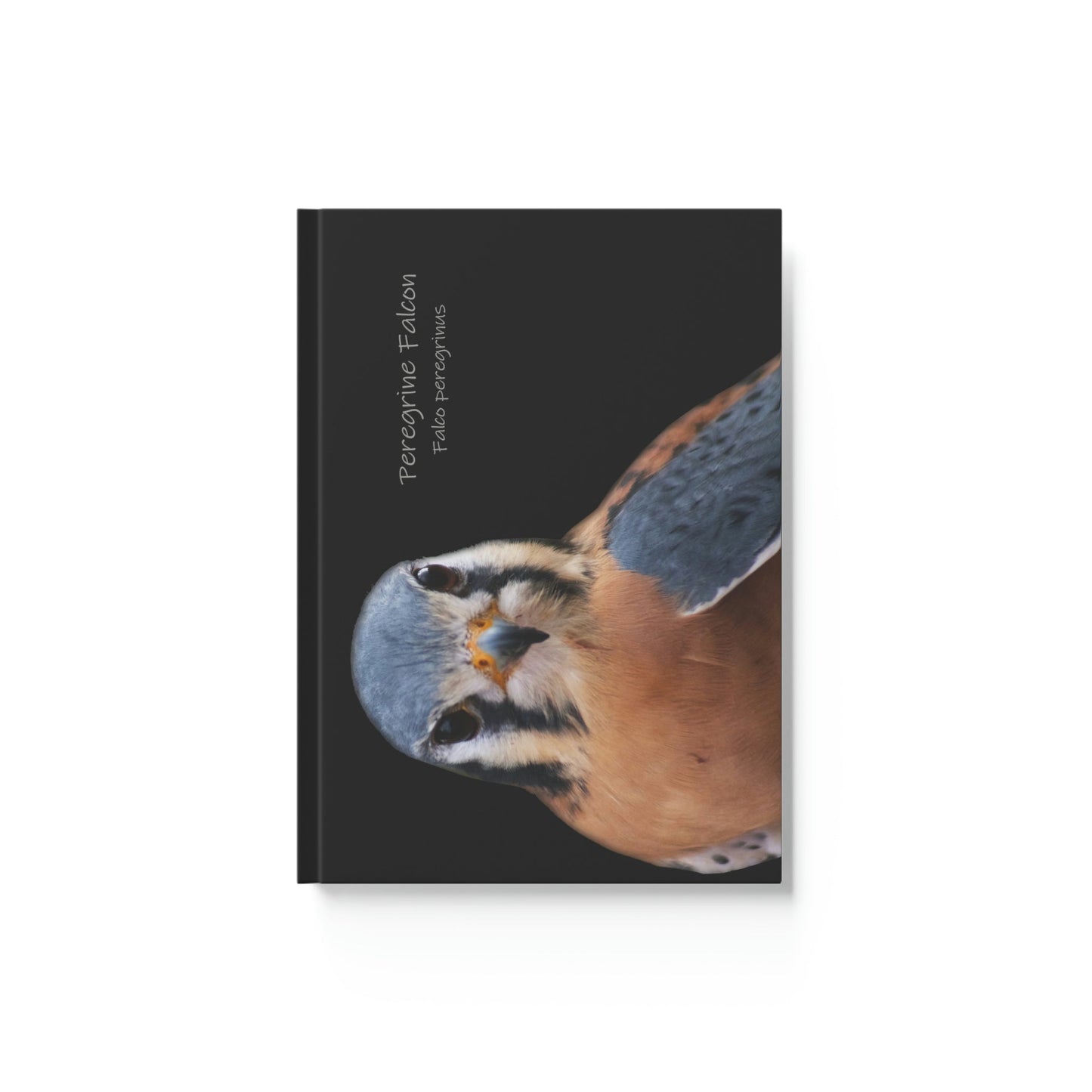 Peregrine Falcon Hard Backed Journal