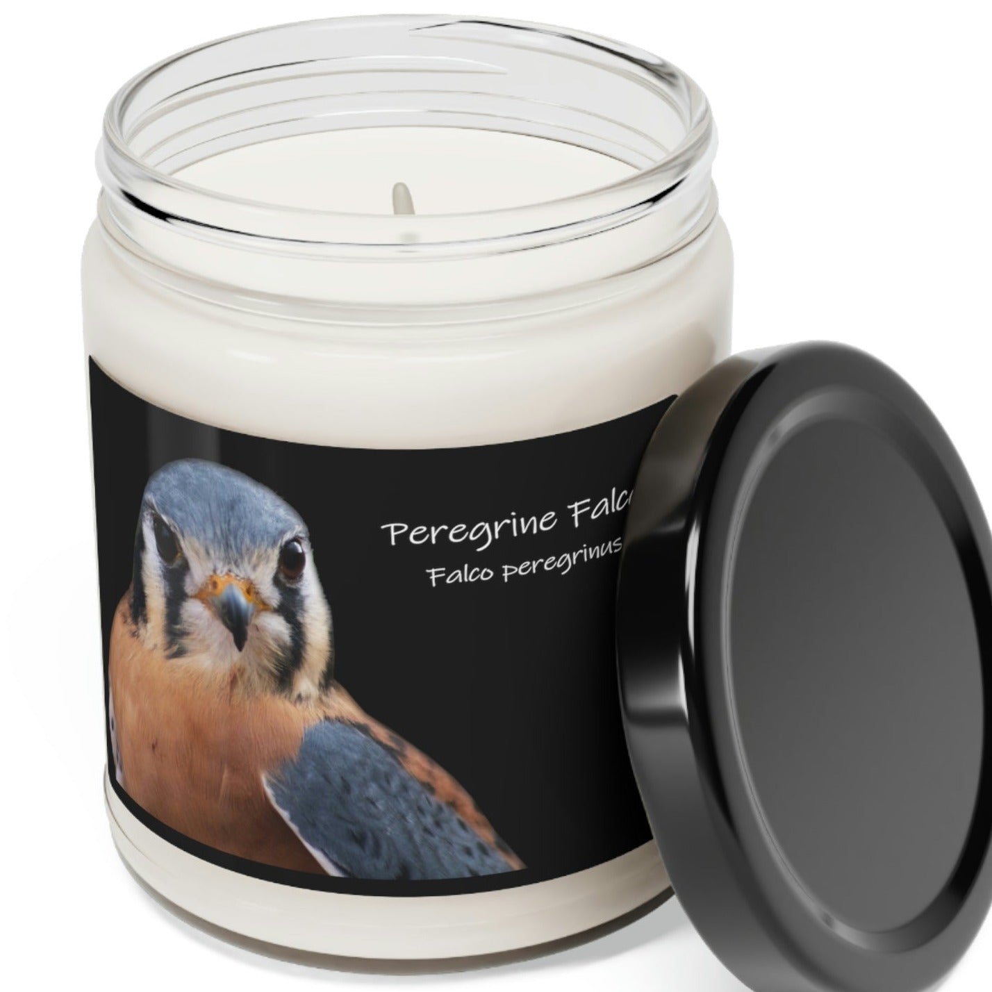 Peregrine Falcon Scented Soy Candle - 9oz