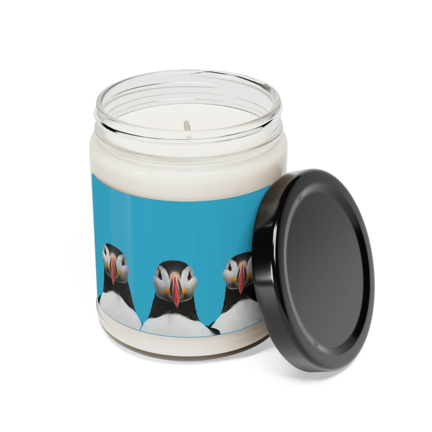 Puffins Scented Soy Candle - 9oz