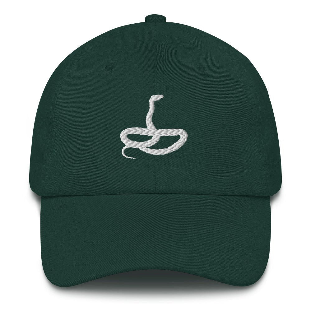 Snake Hat