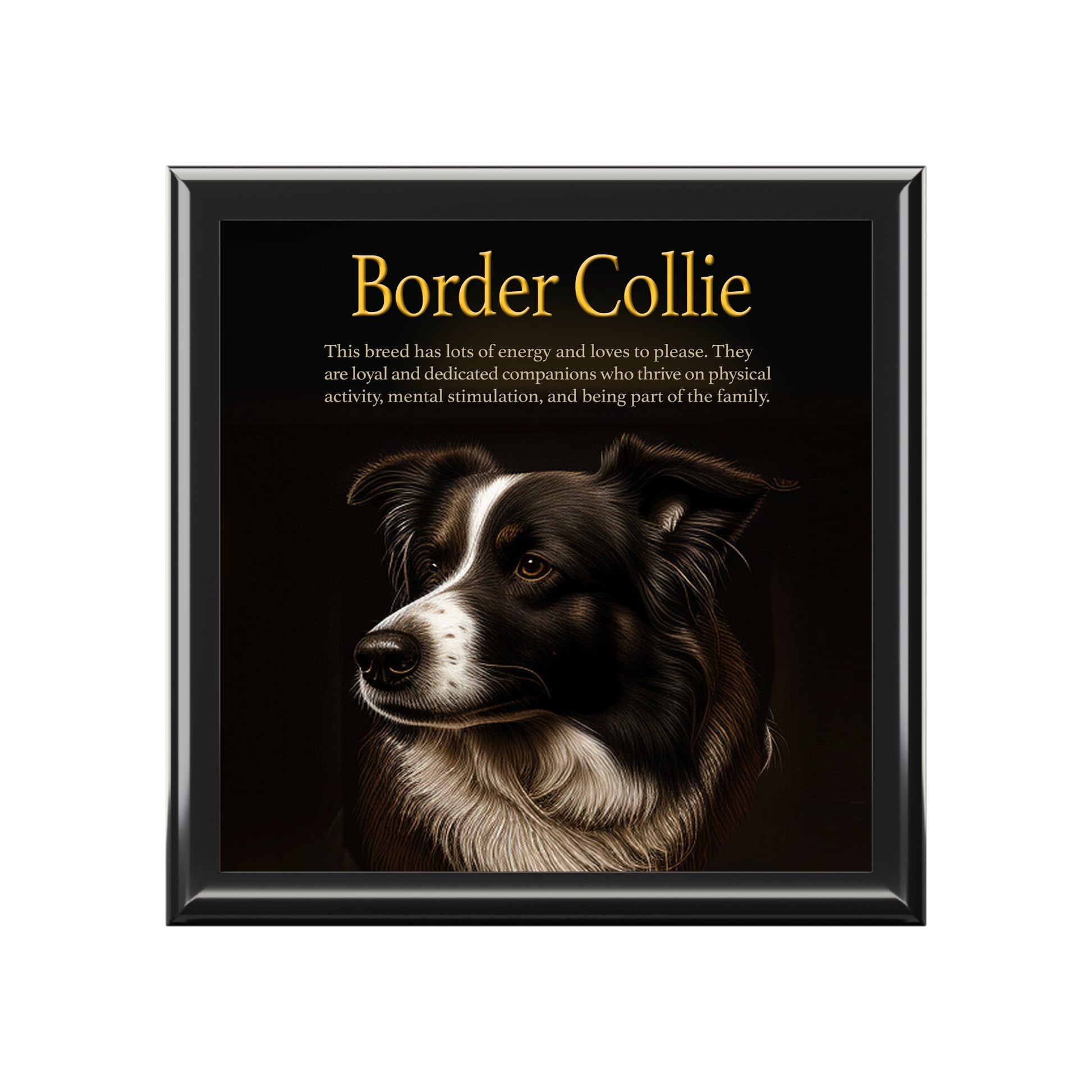 The Intrepid Border Collie Keepsake Jewelry Box with Ceramic Tile Cover