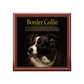 The Intrepid Border Collie Keepsake Jewelry Box with Ceramic Tile Cover