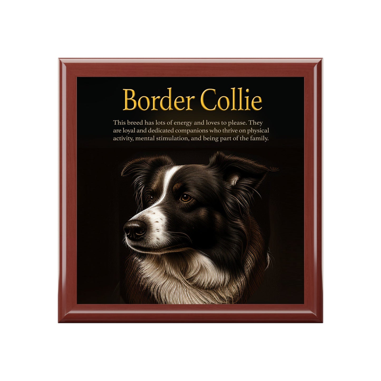 The Intrepid Border Collie Keepsake Jewelry Box with Ceramic Tile Cover