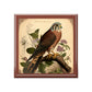 Vintage American Kestrel Wooden Keepsake Jewelry Box
