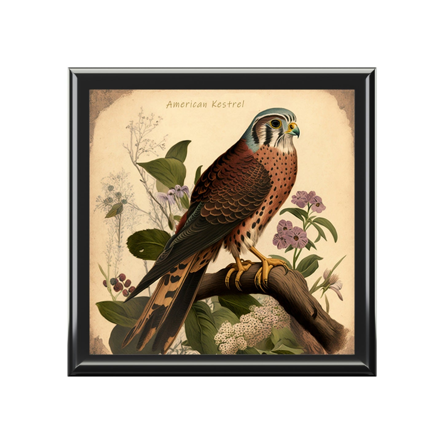 Vintage American Kestrel Wooden Keepsake Jewelry Box