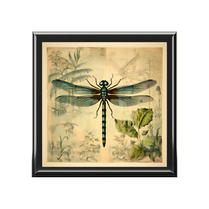 Vintage Naturalist Naturism Dragonfly Artwork Print Gift and Jewelry Box