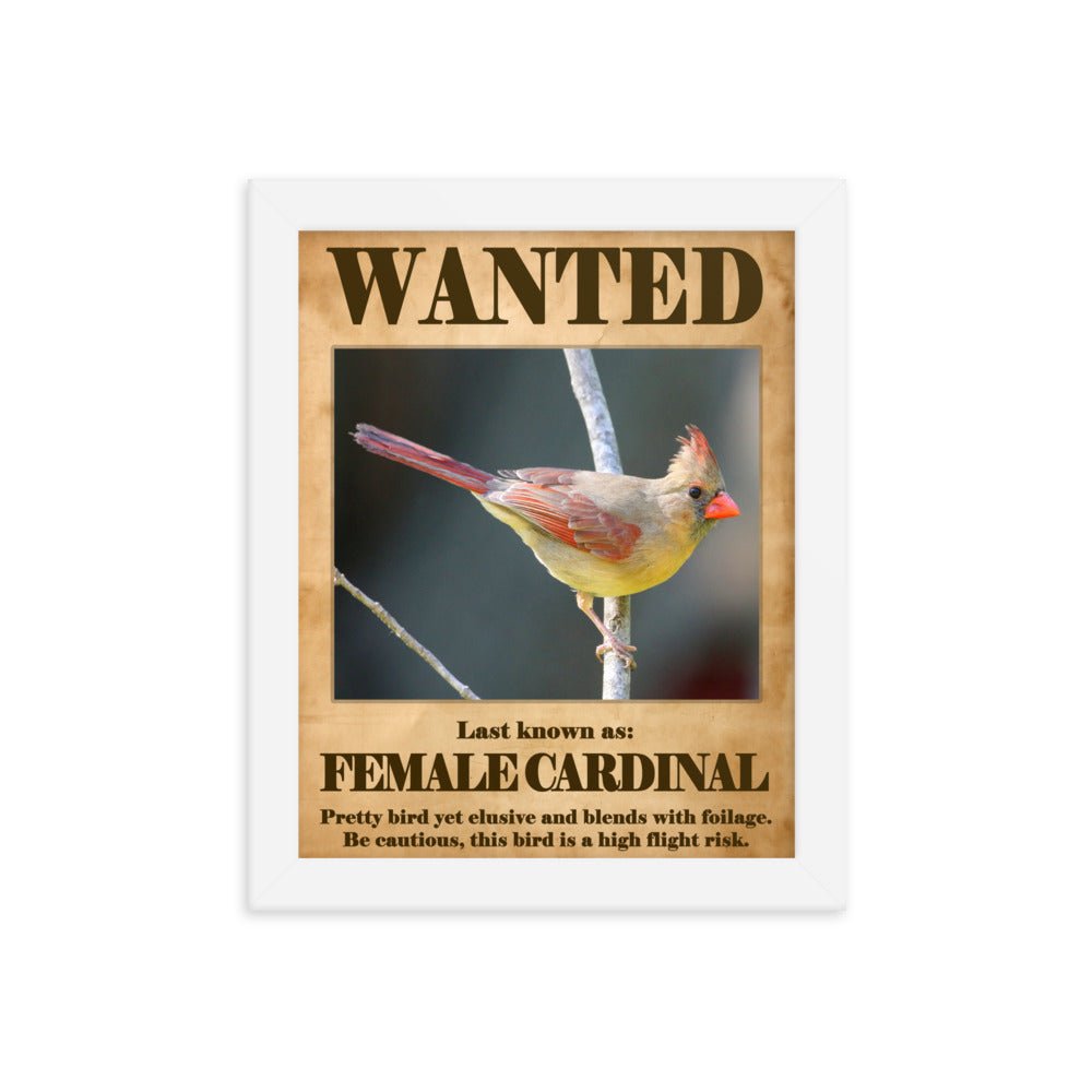 Wanted: Female Cardinal Framed Poster
