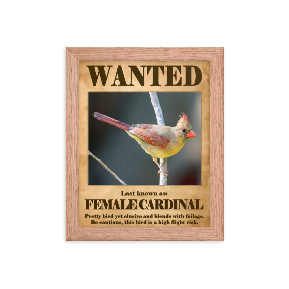 Wanted: Female Cardinal Framed Poster