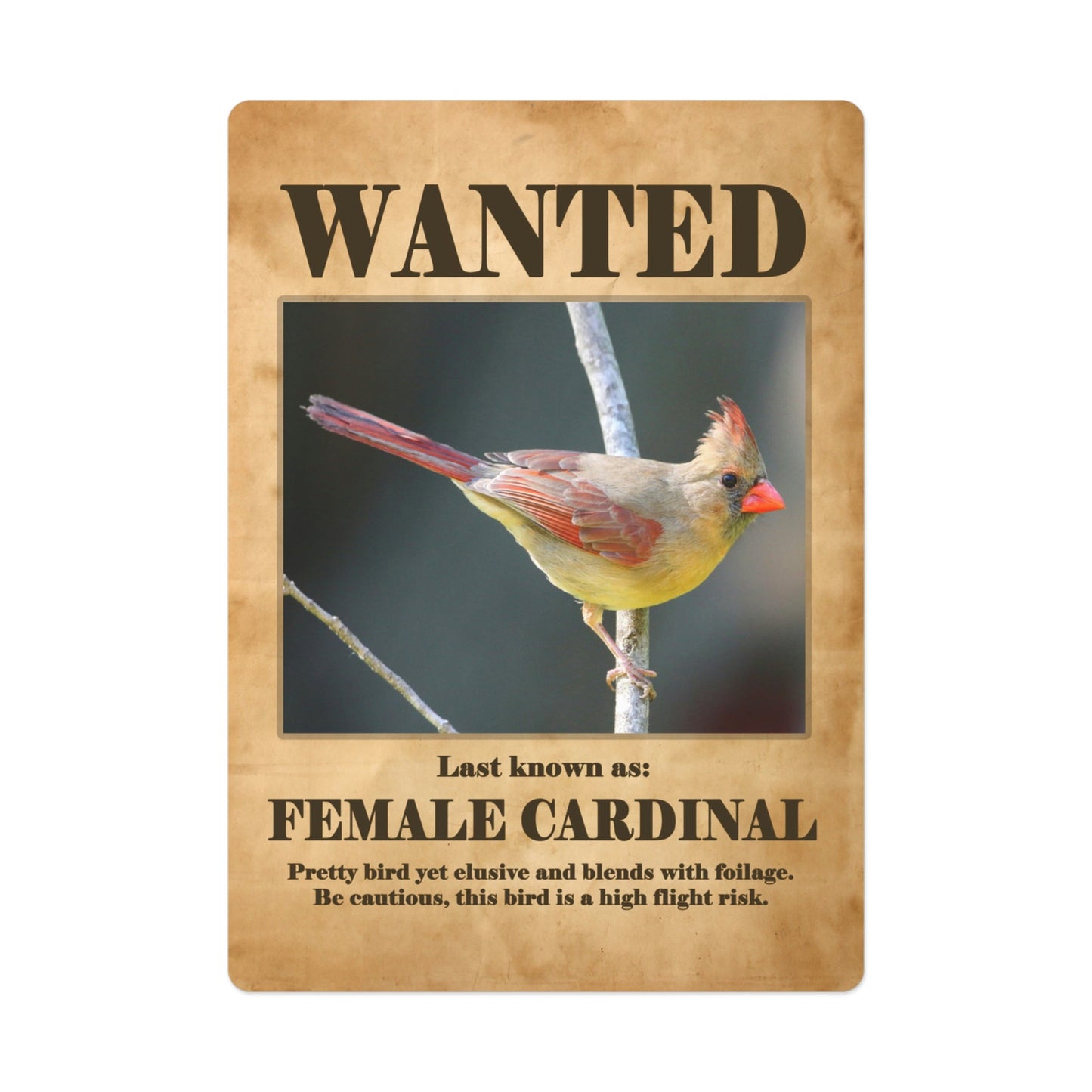 Wanted: Female Cardinal Poker Playing Cards