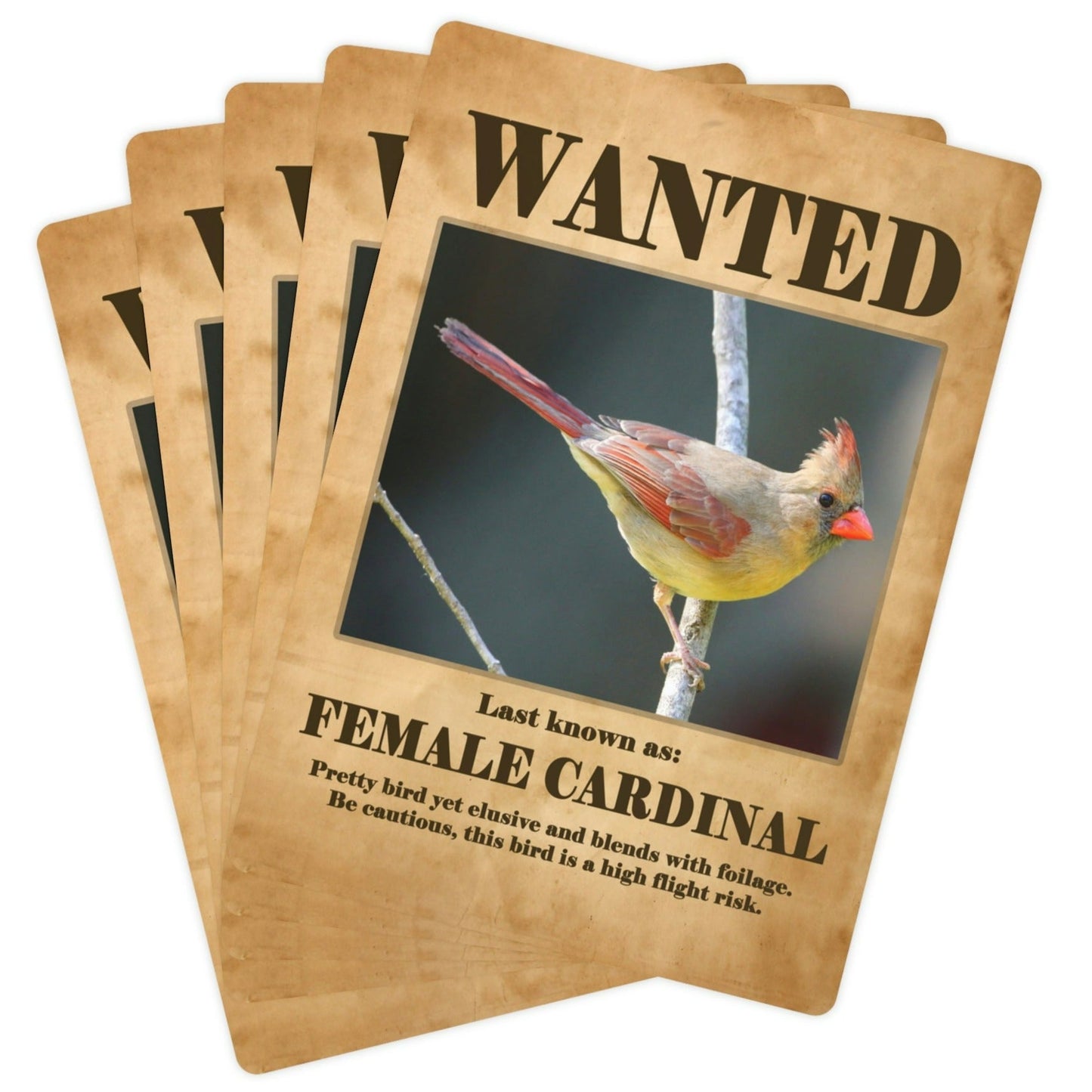 Wanted: Female Cardinal Poker Playing Cards