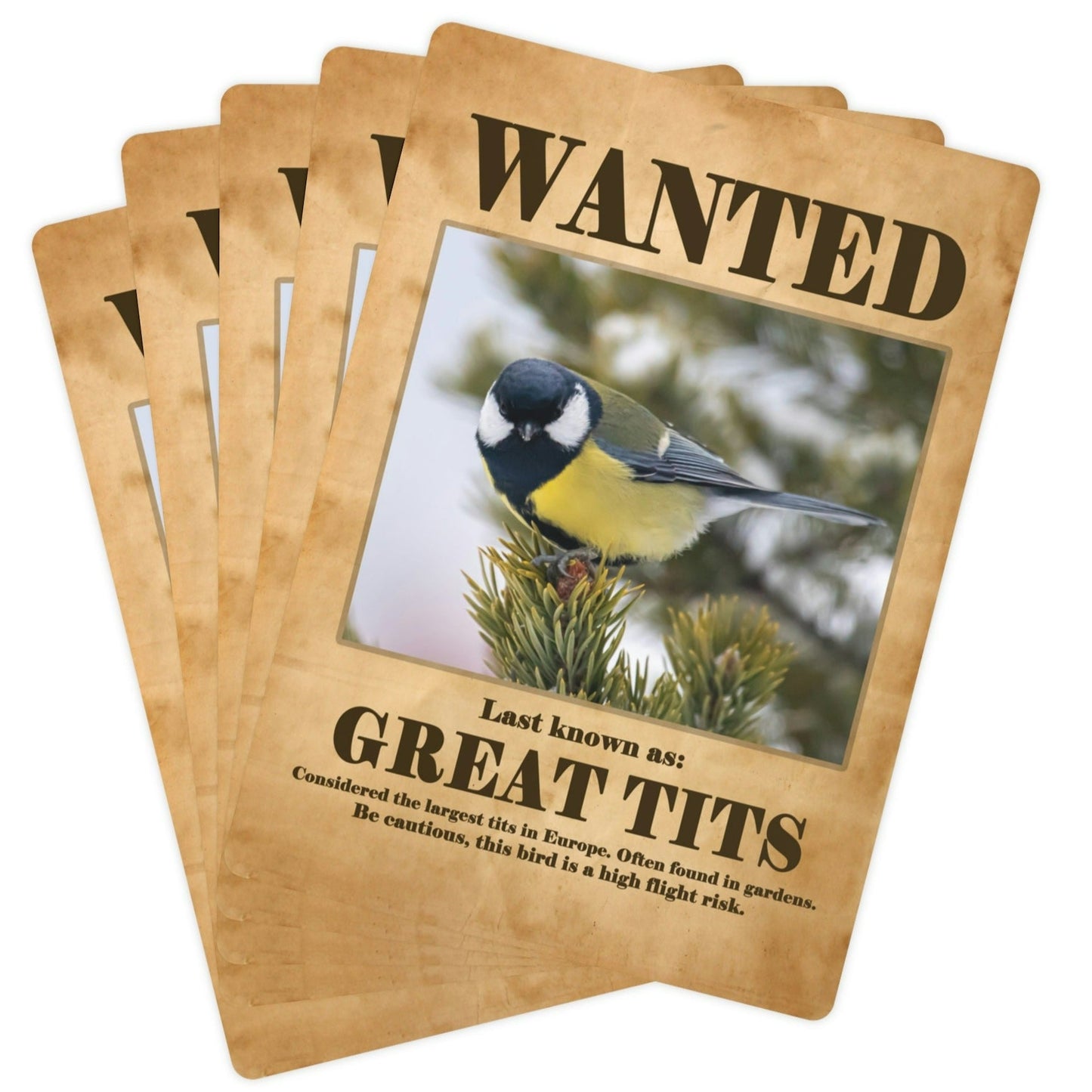 Wanted: Great Tits Poker Playing Cards