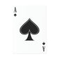 Wanted: Great Tits Poker Playing Cards