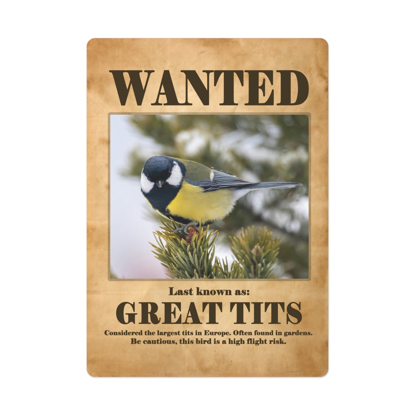 Wanted: Great Tits Poker Playing Cards