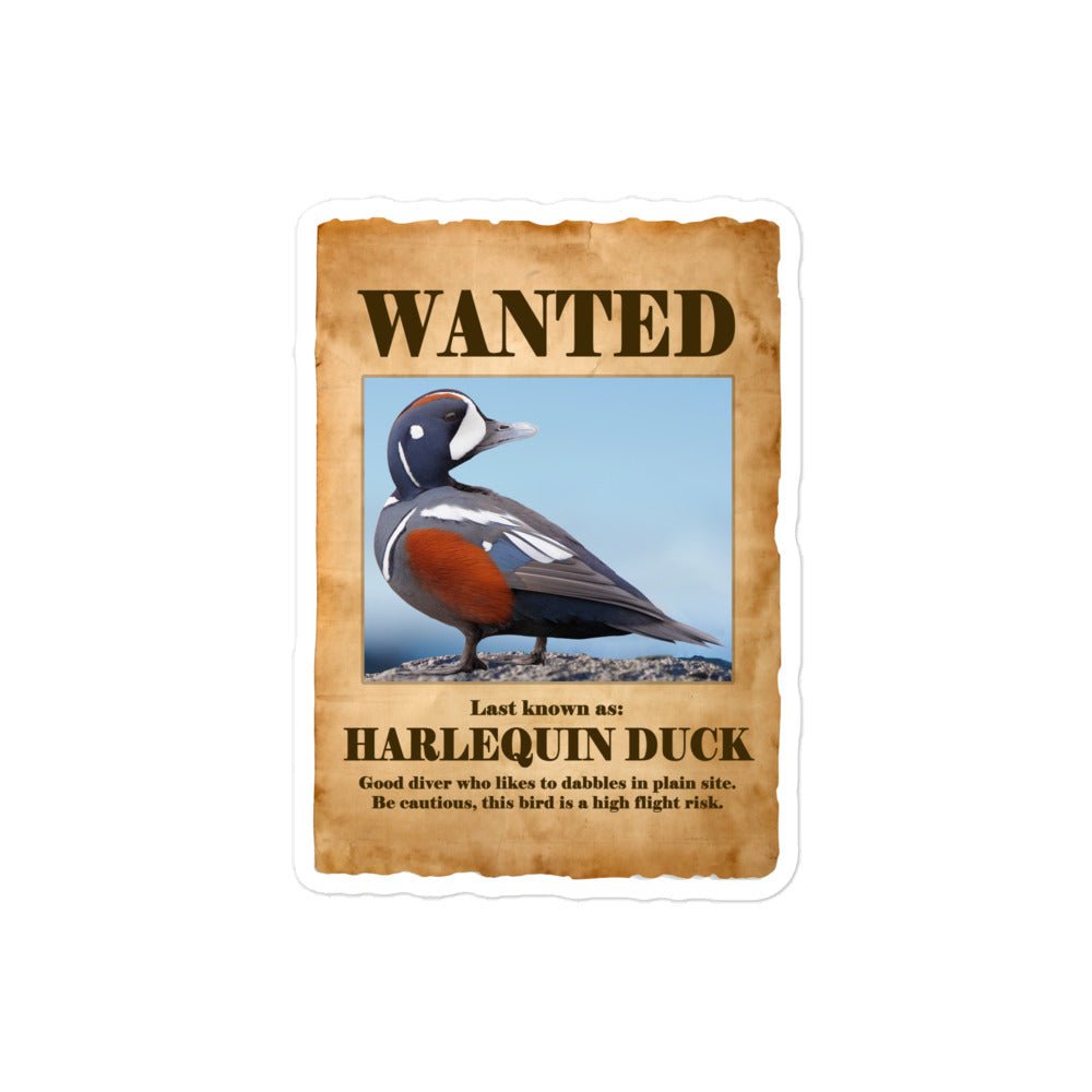 Wanted: Harlequin Duck Bubble-Free Stickers