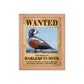 Wanted: Harlequin Duck Framed poster