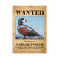 Wanted: Harlequin Duck Poker Playing Cards