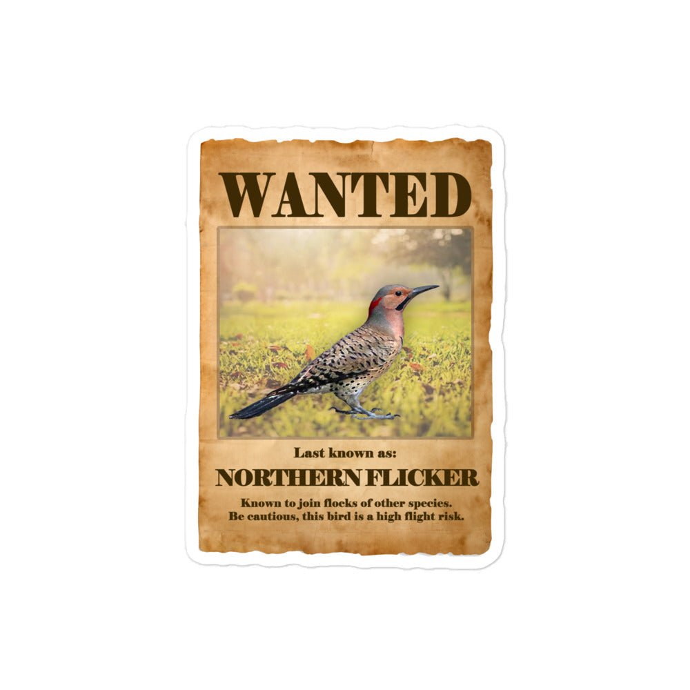 Wanted: Northern Flicker Bubble-Free Stickers