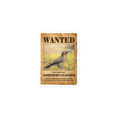 Wanted: Northern Flicker Bubble-Free Stickers